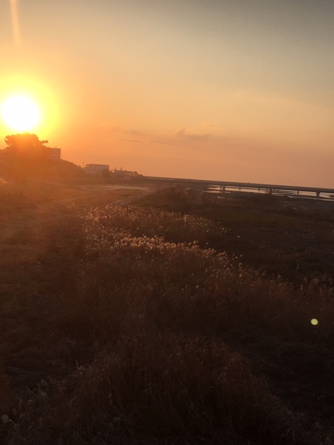 小田原の朝陽